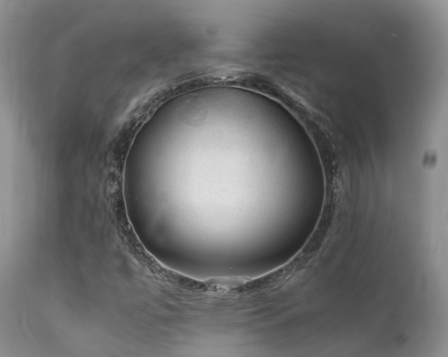 X0000112111447200908111430