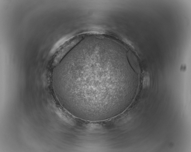 X0000112111448200908111430