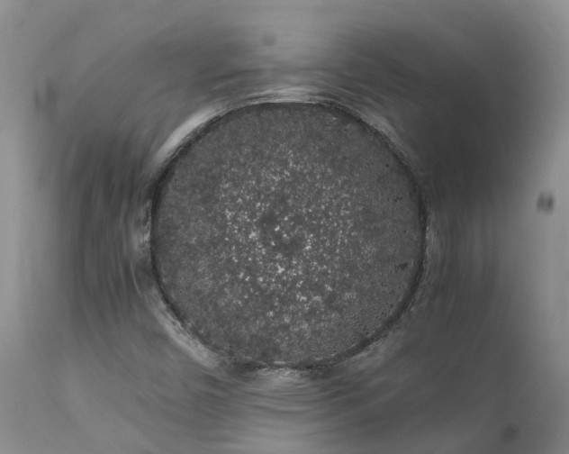 X0000112111450200908111430