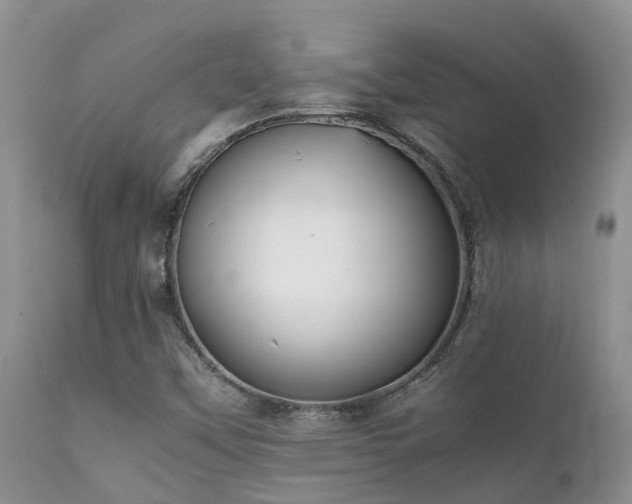 X0000112111451200908111430