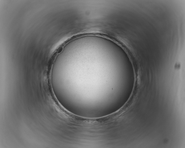 X0000112111452200908111430