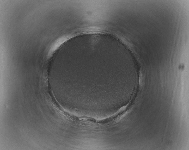 X0000112111453200908111430