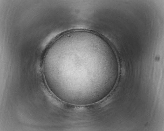 X0000112111454200908111430