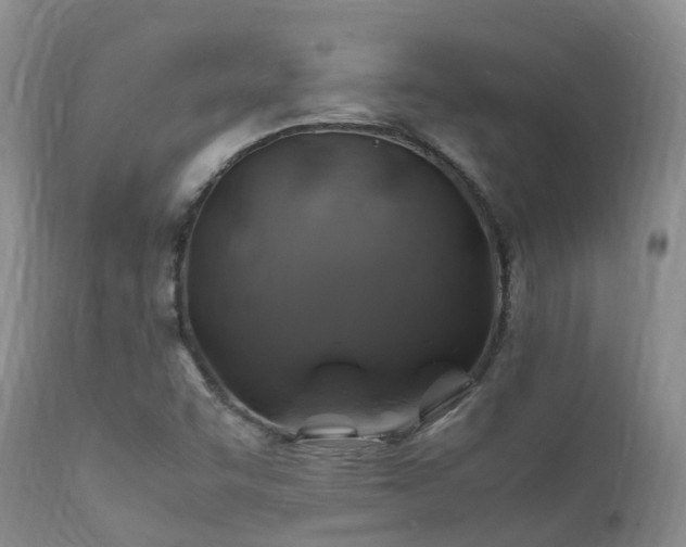 X0000112111455200908111430