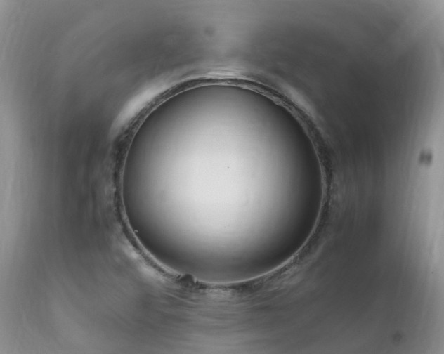 X0000112111456200908111430