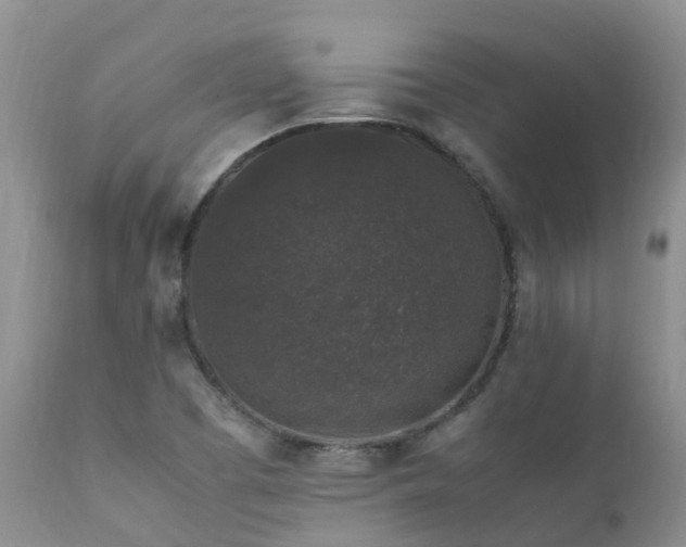 X0000112111457200908111430