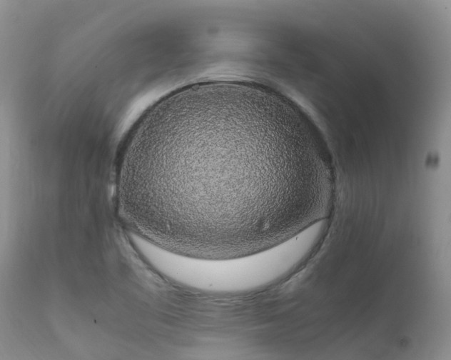 X0000112111461200908111430