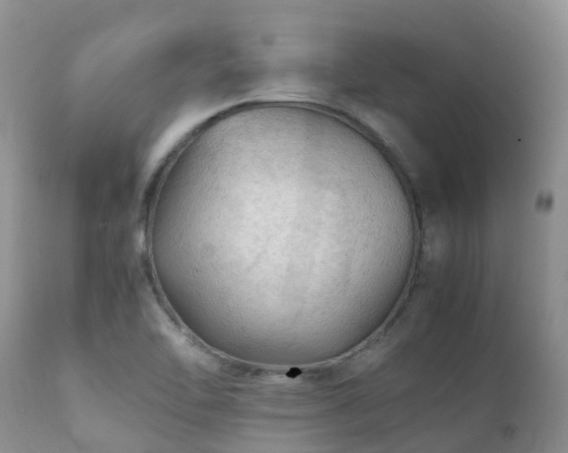 X0000112111462200908111430