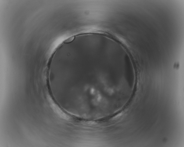 X0000112111463200908111430