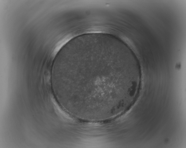 X0000112111465200908111430