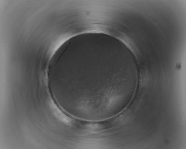 X0000112111468200908111430