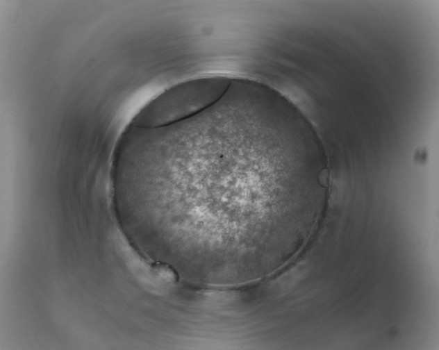 X0000112111469200908111430