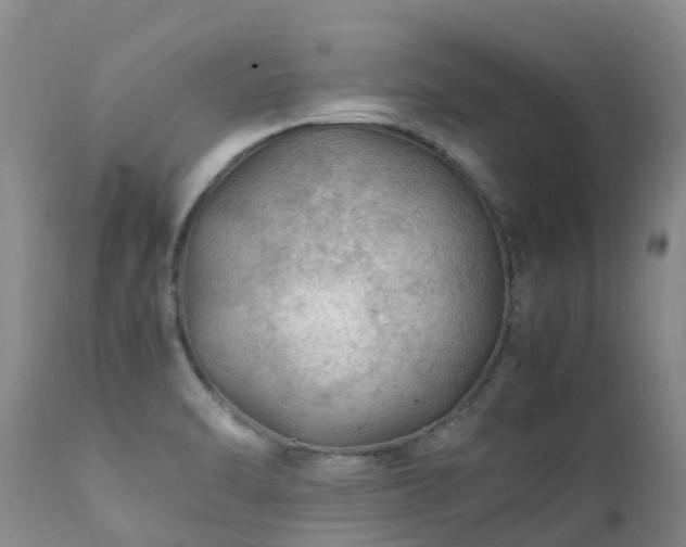 X0000112111470200908111430