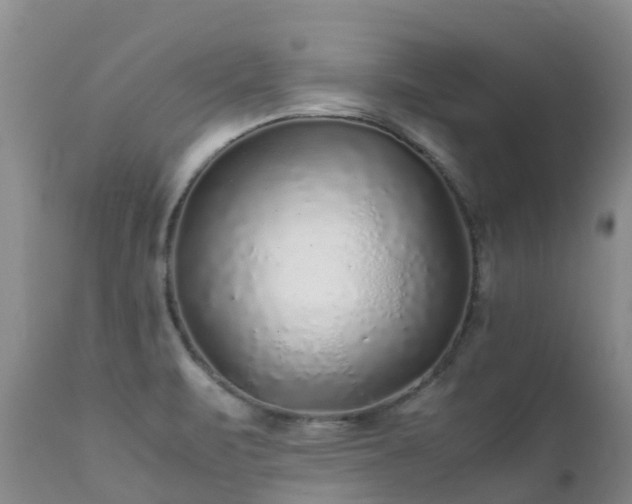 X0000112111471200908111430