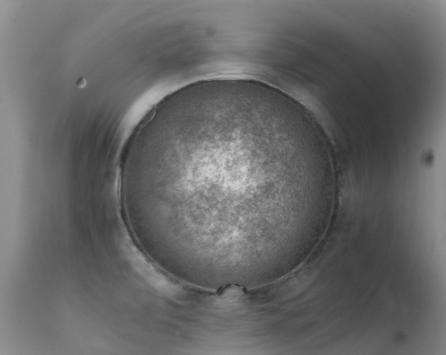 X0000112111472200908111430