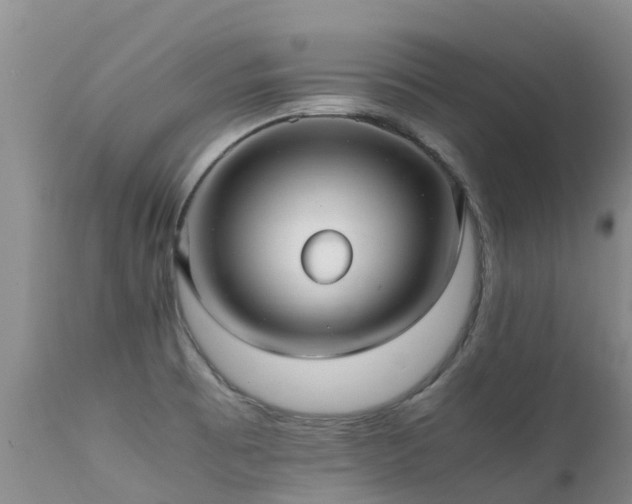 X0000112111473200908111430