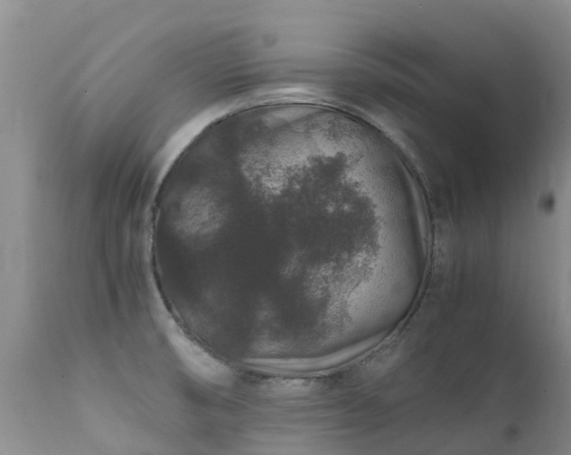 X0000112111474200908111430