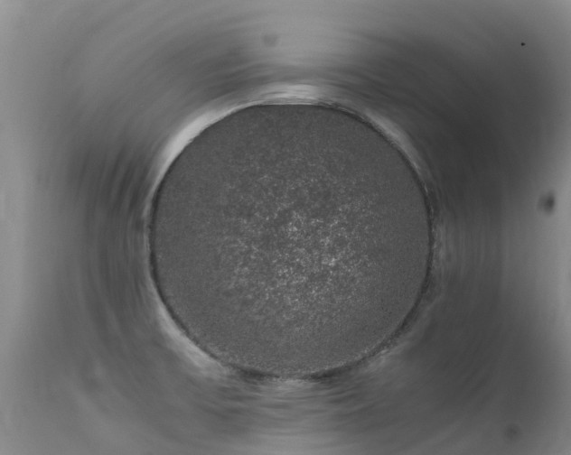 X0000112111475200908111430