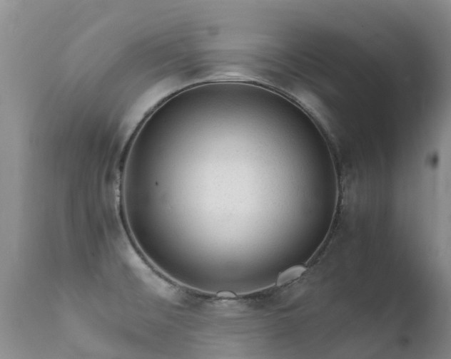 X0000112111476200908111430