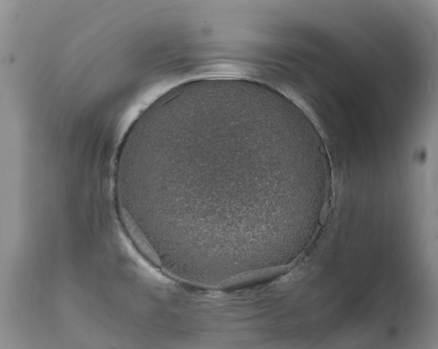 X0000112111477200908111430