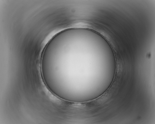 X0000112111478200908111430