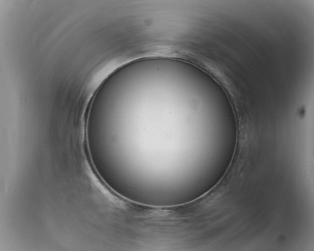 X0000112111479200908111430