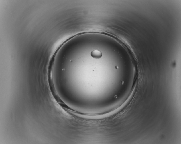 X0000112111480200908111430