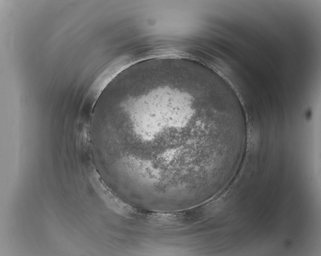 X0000112111481200908111430