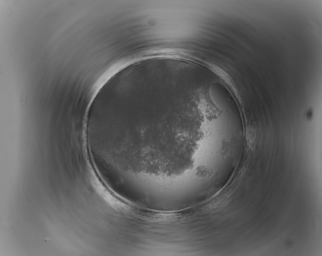 X0000112111482200908111430