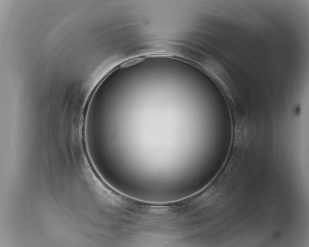 X0000112111484200908111430