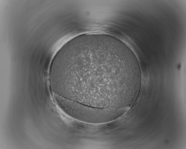 X0000112111485200908111430