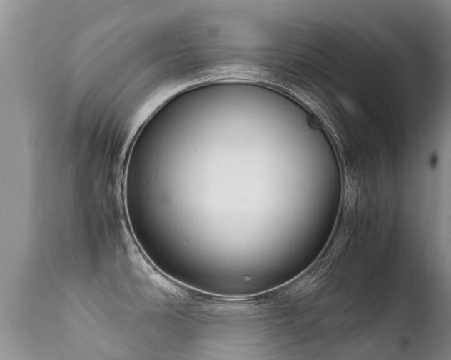 X0000112111486200908111430