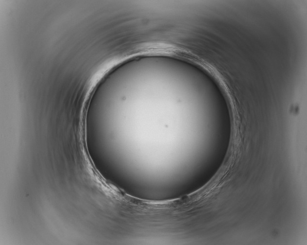 X0000112111488200908111430