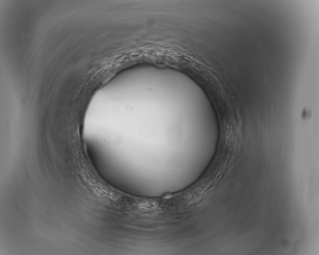 X0000112111489200908111429