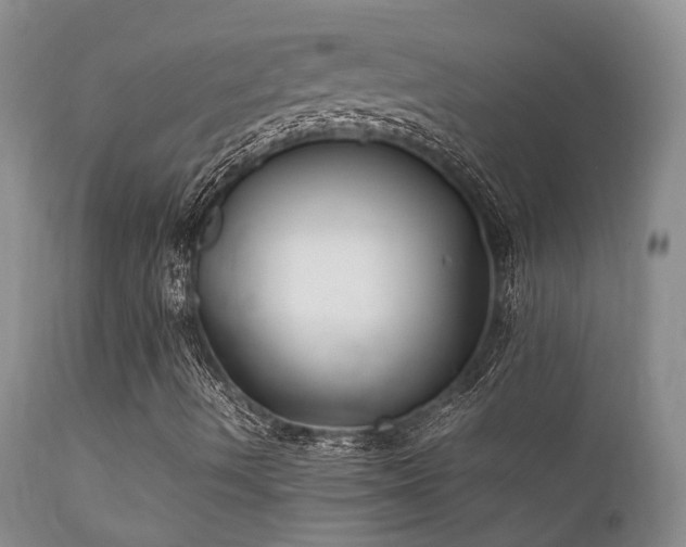 X0000112111490200908111429