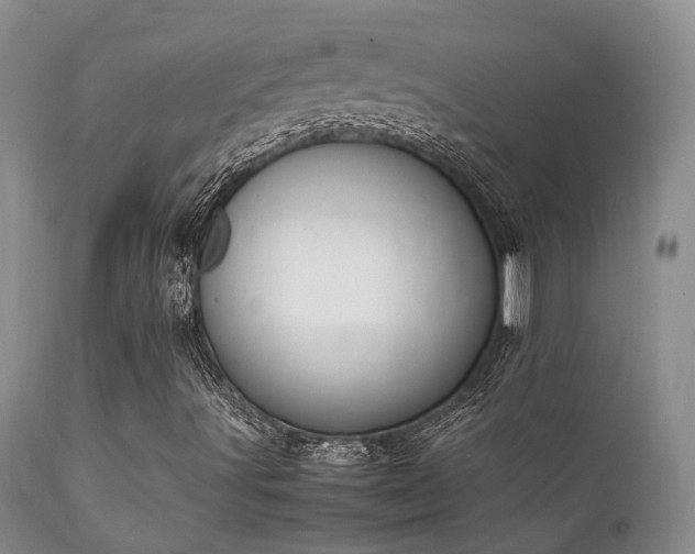 X0000112111491200908111429