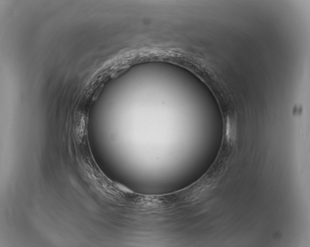 X0000112111492200908111429