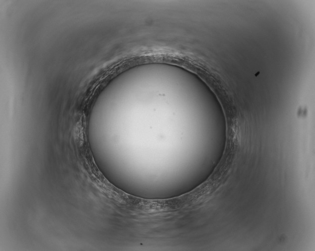 X0000112111493200908111429