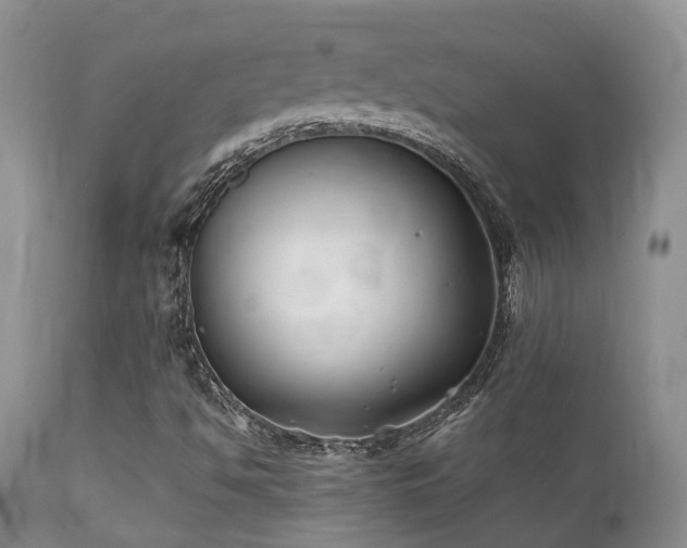 X0000112111494200908111429