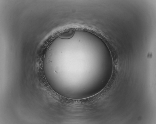 X0000112111495200908111429