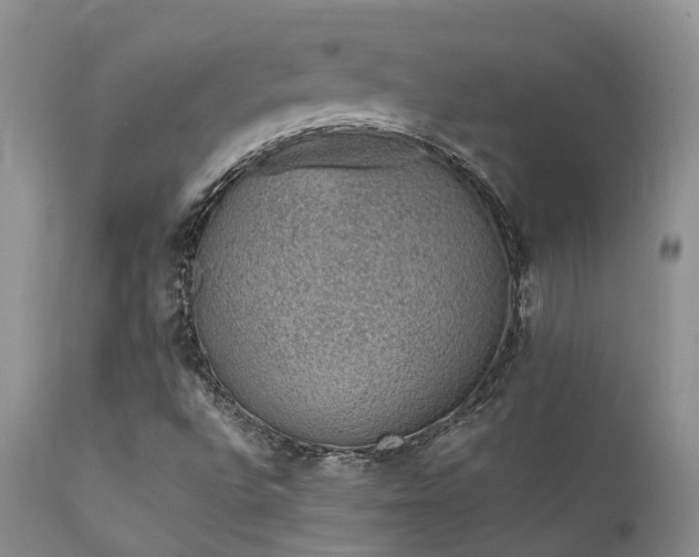 X0000112111496200908111429