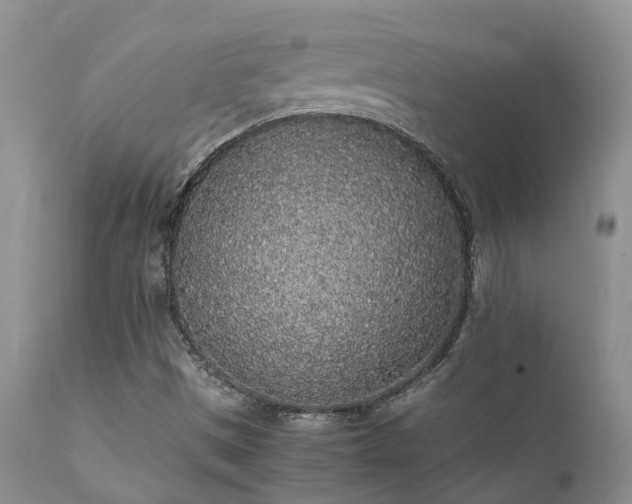 X0000112111497200908111429