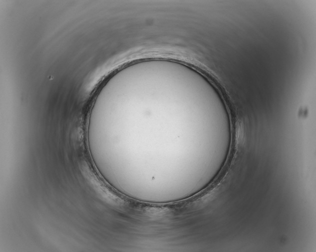 X0000112111498200908111429