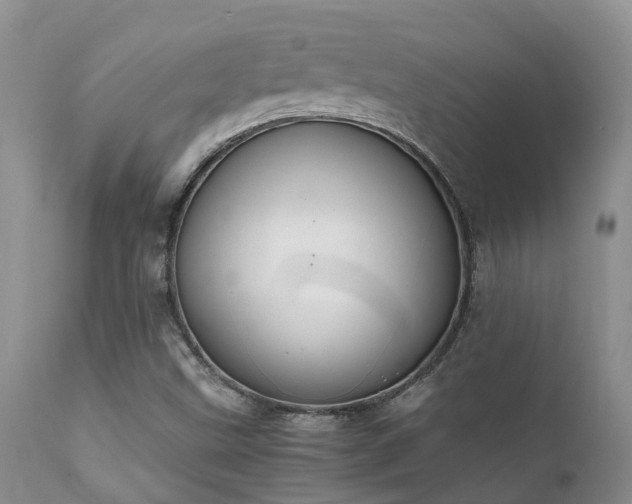 X0000112111499200908111429