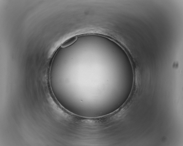 X0000112111500200908111429