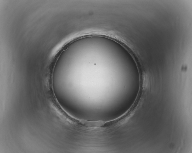 X0000112111502200908111429