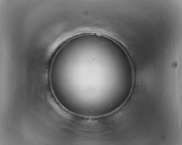 X0000112111503200908111429