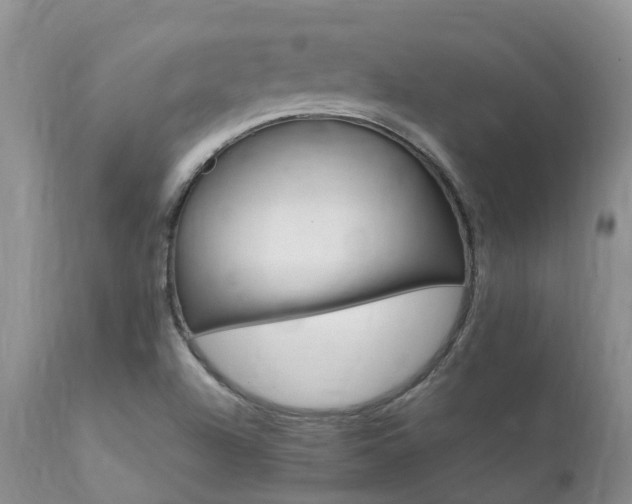 X0000112111504200908111429