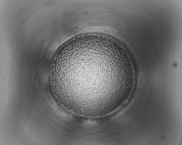 X0000112111505200908111429