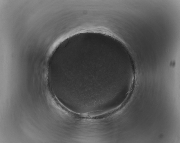 X0000112111506200908111429